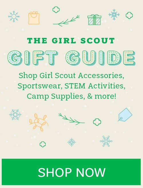 Girl Scout Organization Chart