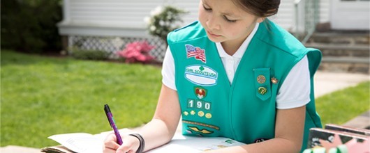 Troop Finances